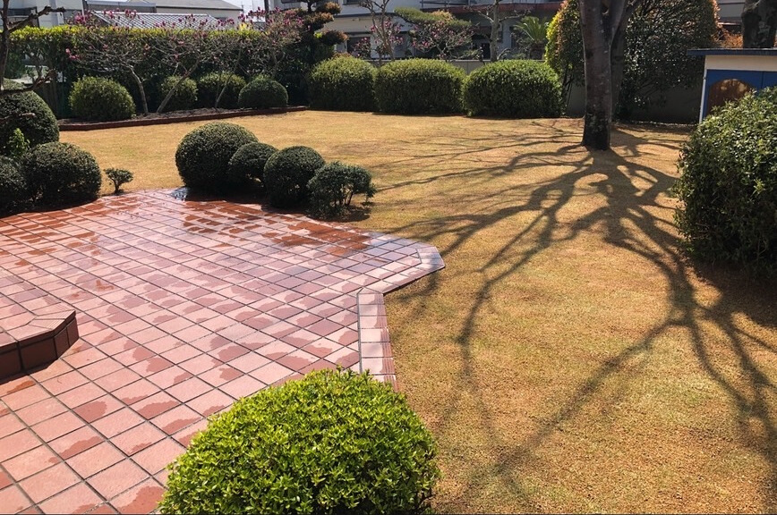 芝生・草関連施工例2